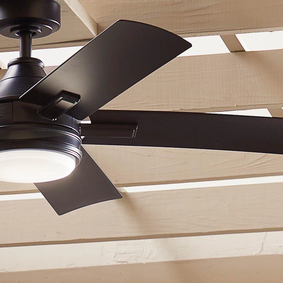 Tide 52" Weather  Outdoor Ceiling Fan
