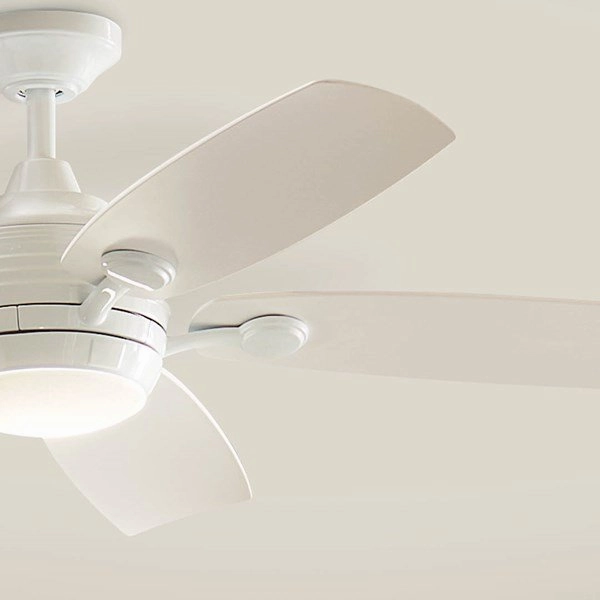 Tranquil 56"Ceiling Fan White