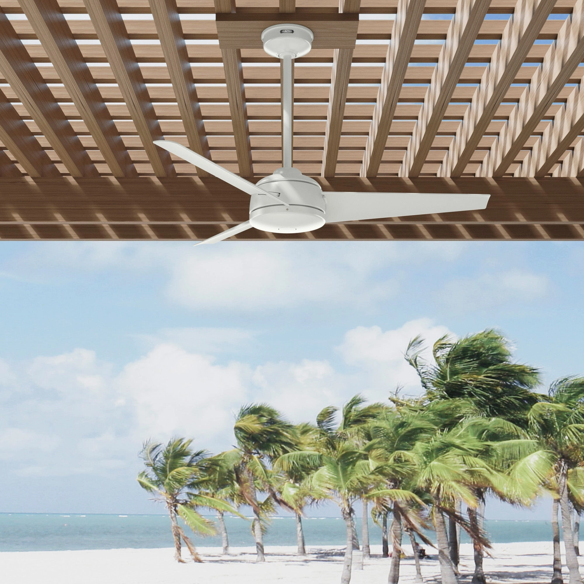 Trimaran 52"Ceiling Fan Fresh White