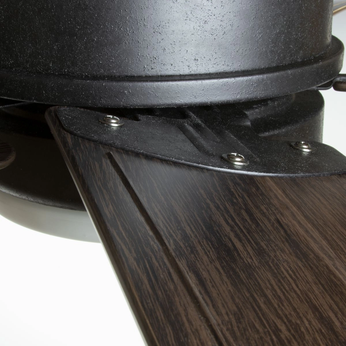 Whirl 60" Ceiling Fan Forged Black