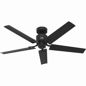 Windbound 52"Ceiling Fan Matte Black mini handheld fan for personal travel use