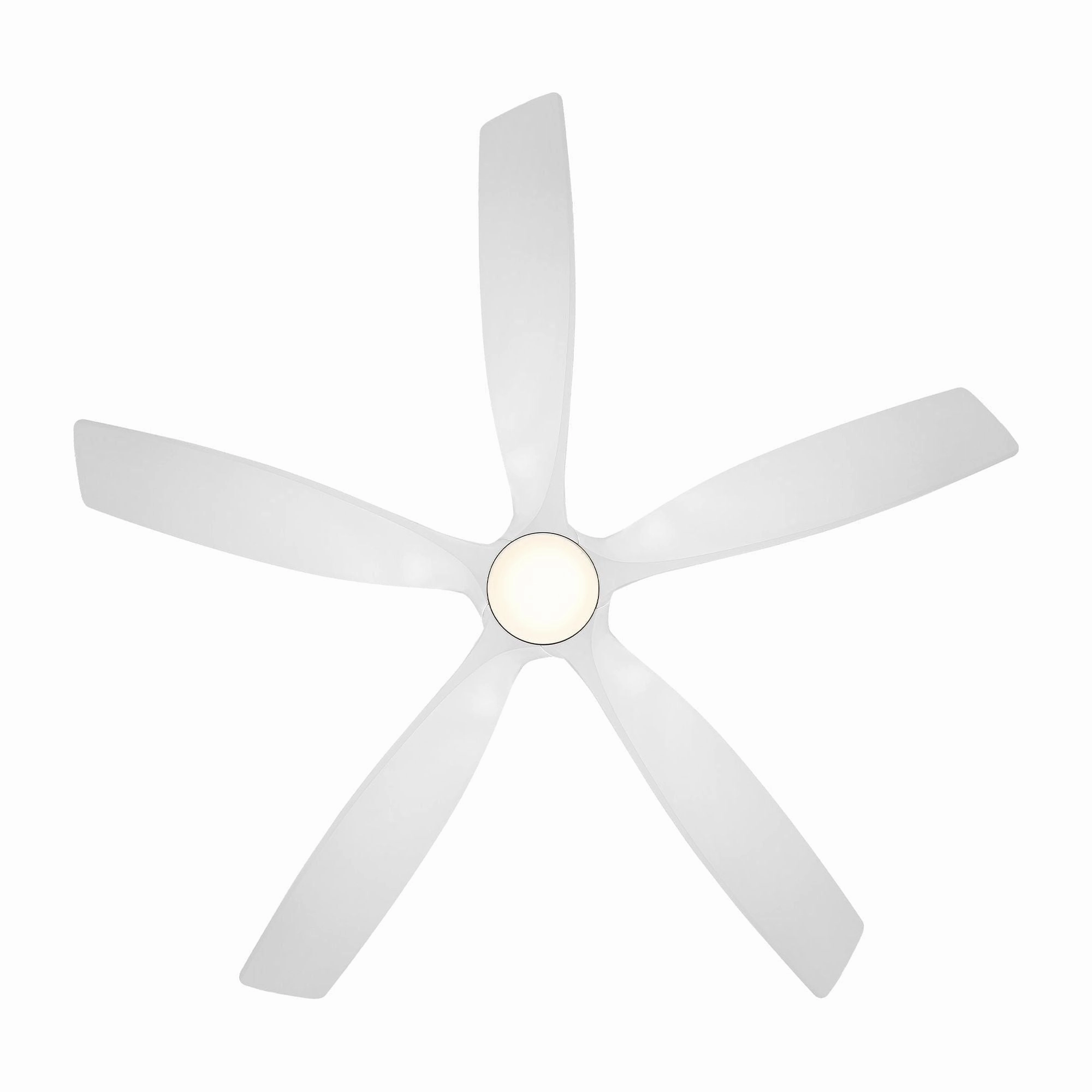 Zephyr Indoor/Outdoor 5-Blade 62" LED Smart Ceiling Fan