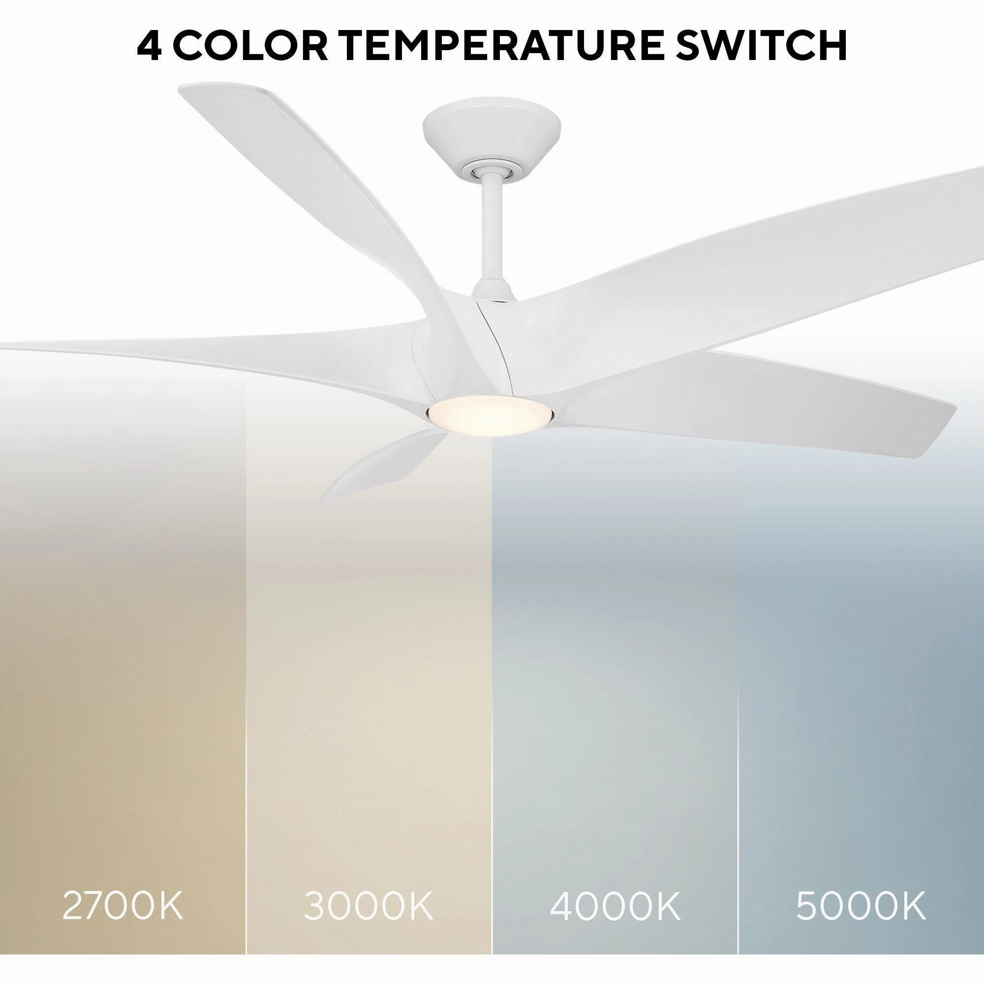 Zephyr Indoor/Outdoor 5-Blade 62" LED Smart Ceiling Fan