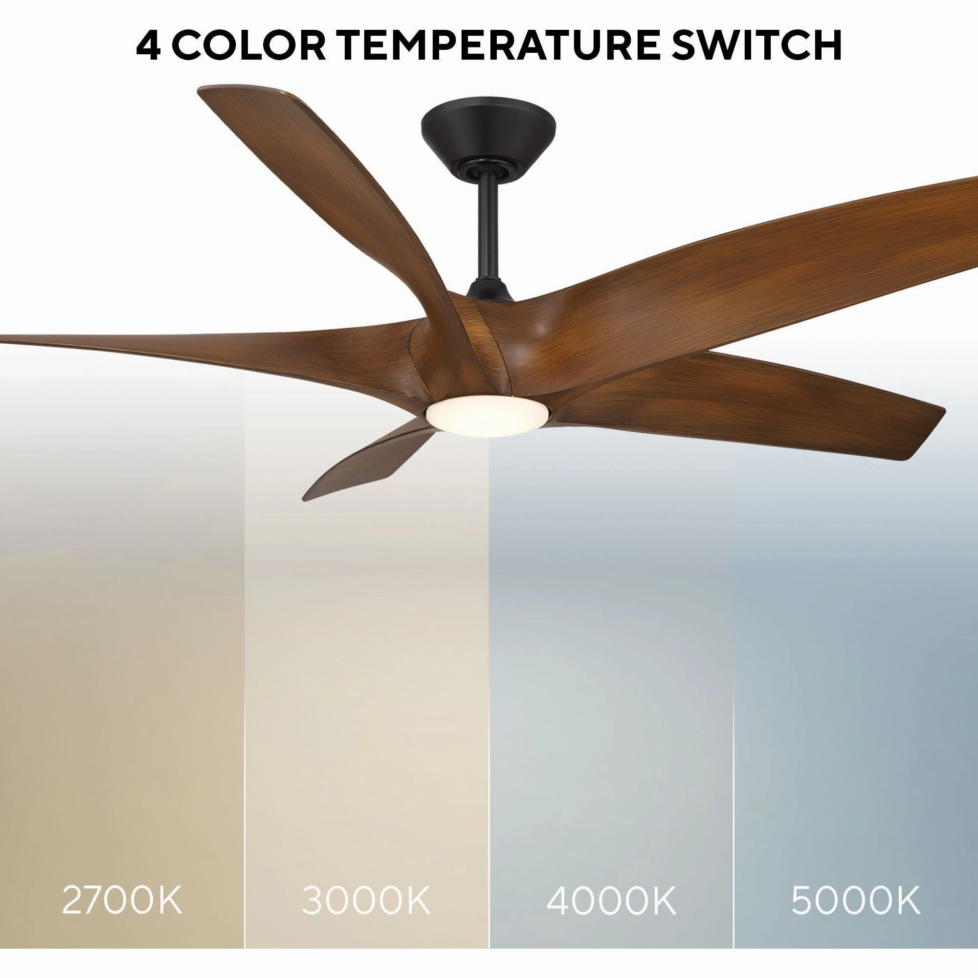 Zephyr Indoor/Outdoor 5-Blade 62" LED Smart Ceiling Fan