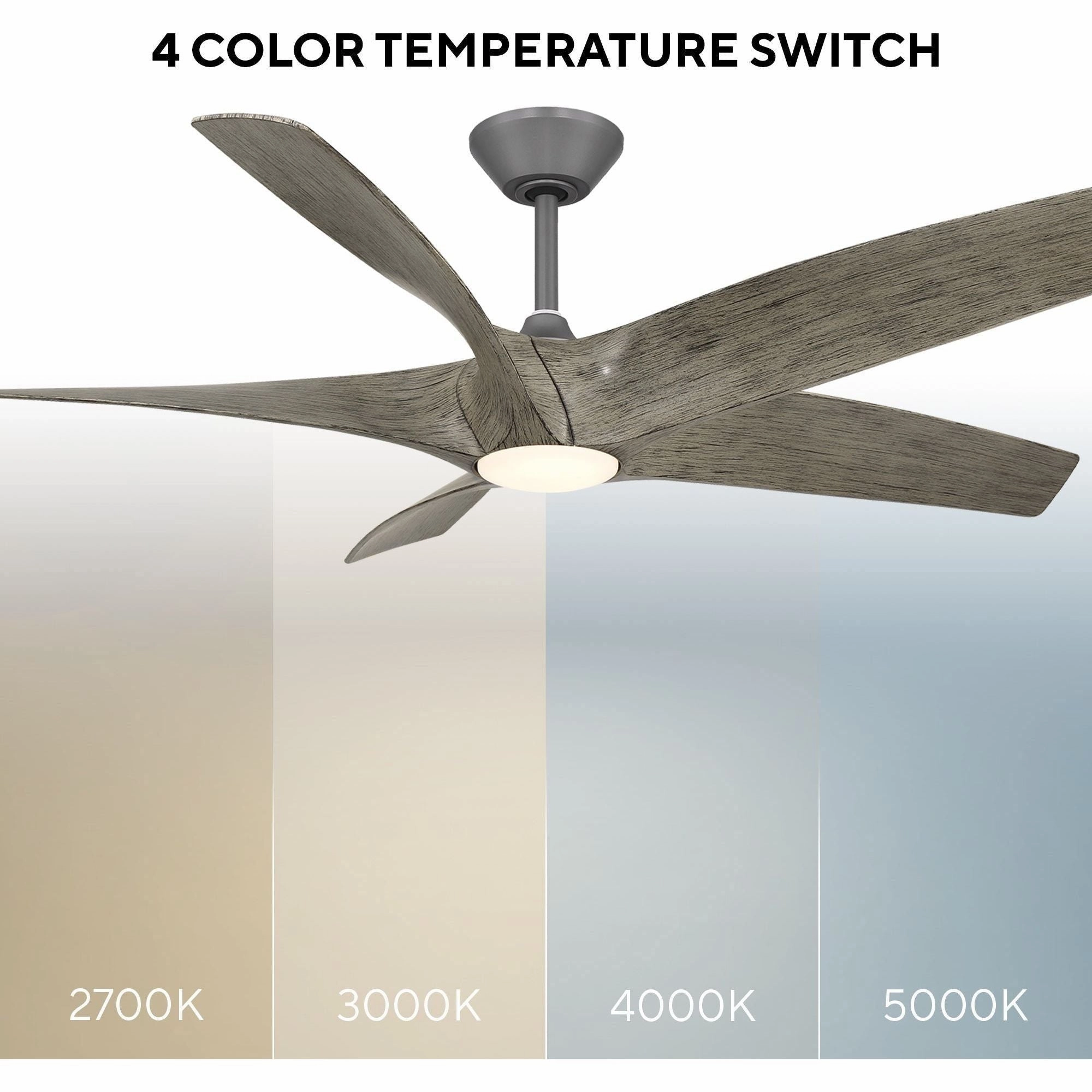 Zephyr Indoor/Outdoor 5-Blade 62" LED Smart Ceiling Fan