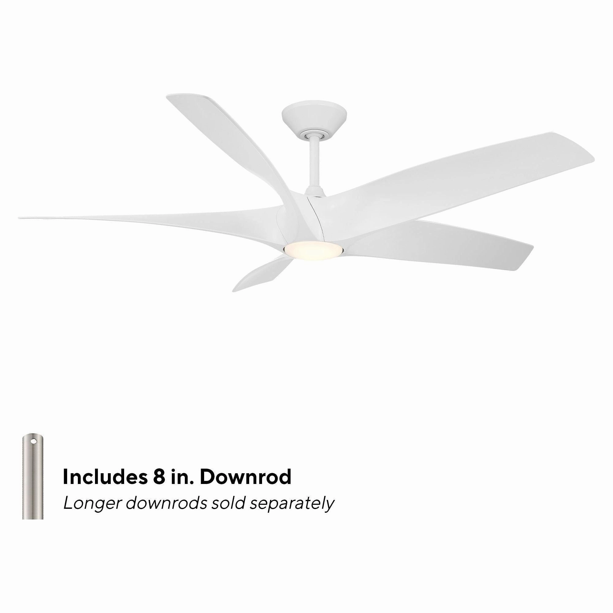 Zephyr Indoor/Outdoor 5-Blade 62" LED Smart Ceiling Fan